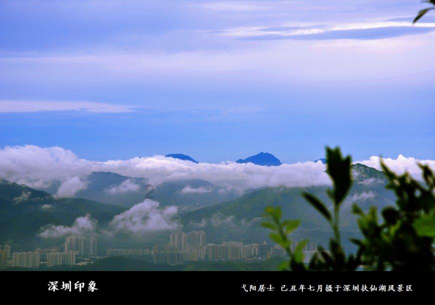 南禅寺内观报名网游戏画面