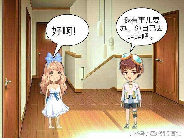 可怜猫的救援